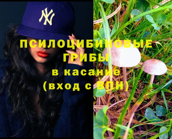 мяу мяу кристалл Кинешма