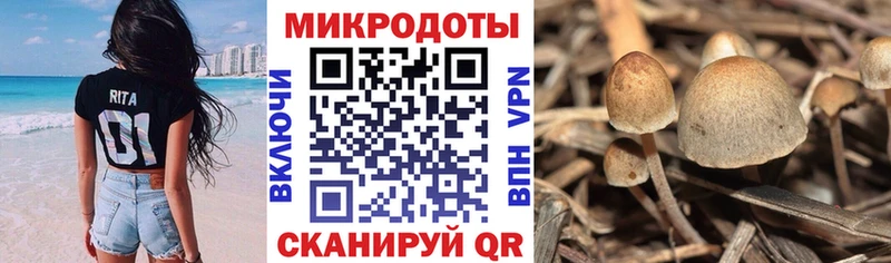 Галлюциногенные грибы мицелий  Купить закладки  Сосногорск 